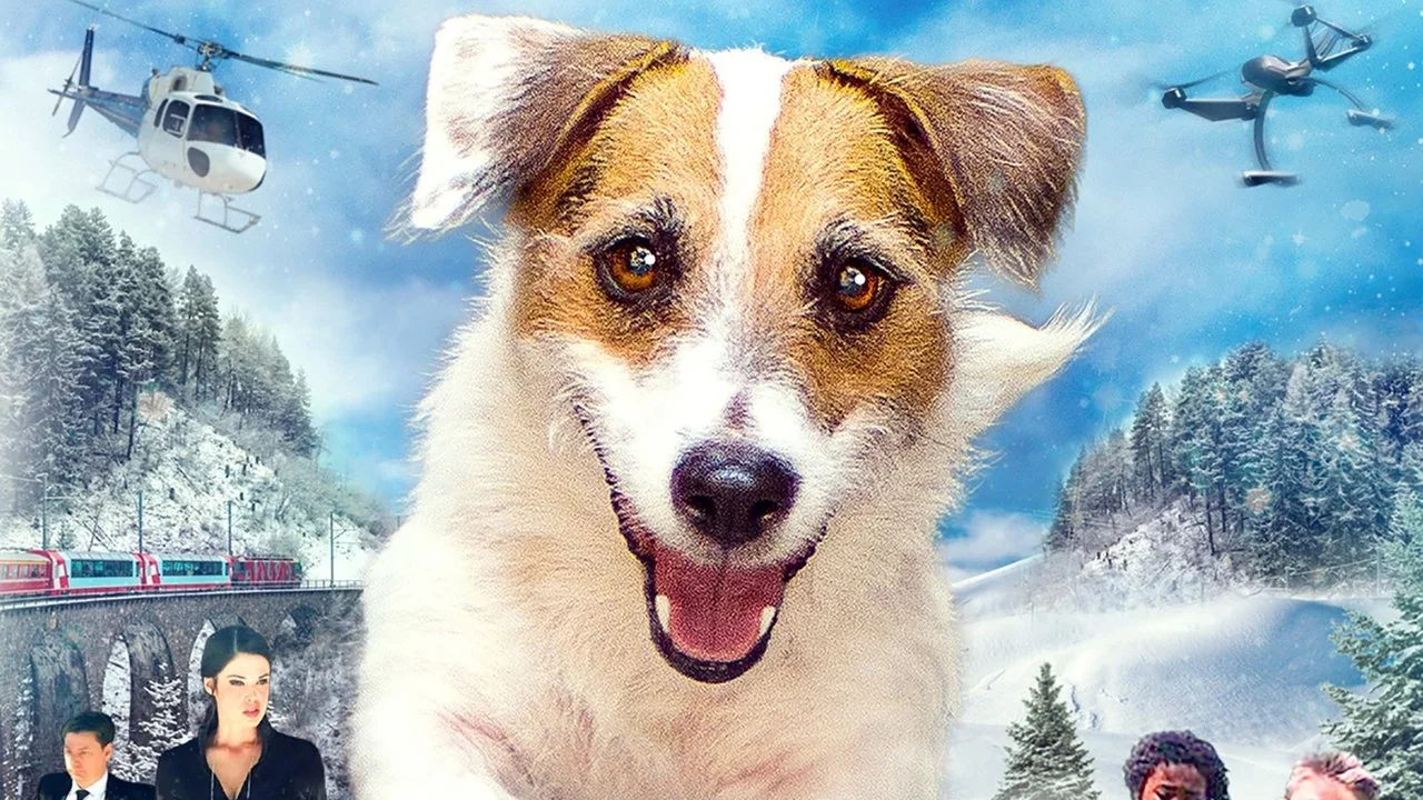 Affisch: A Doggone Christmas (2016)
