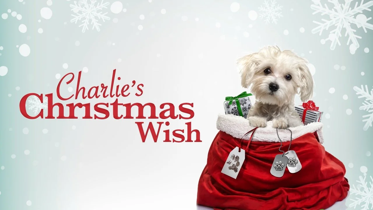 Affisch: Charlie's Christmas Wish (2020)