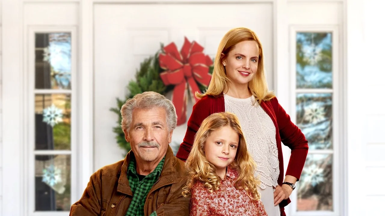 Affisch: I'll Be Home for Christmas (2016)