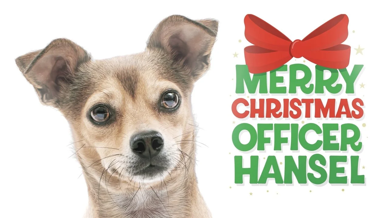Affisch: Merry Christmas Officer Hansel (2022)