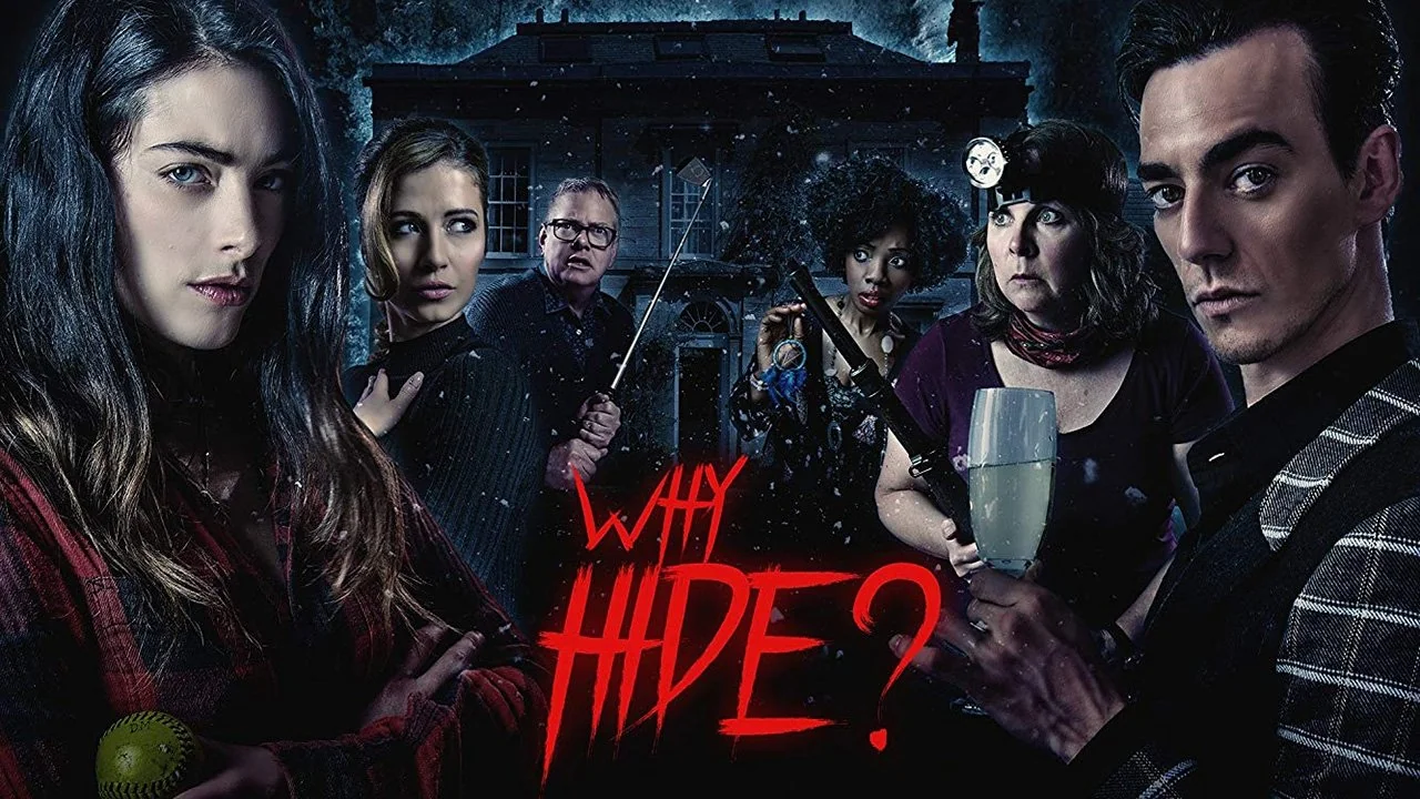 Affisch: Why Hide? (2018)