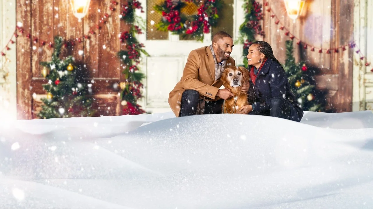 Stillbild ur A Christmas Stray