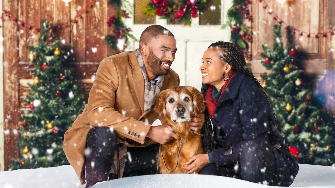 Stillbild ur A Christmas Stray