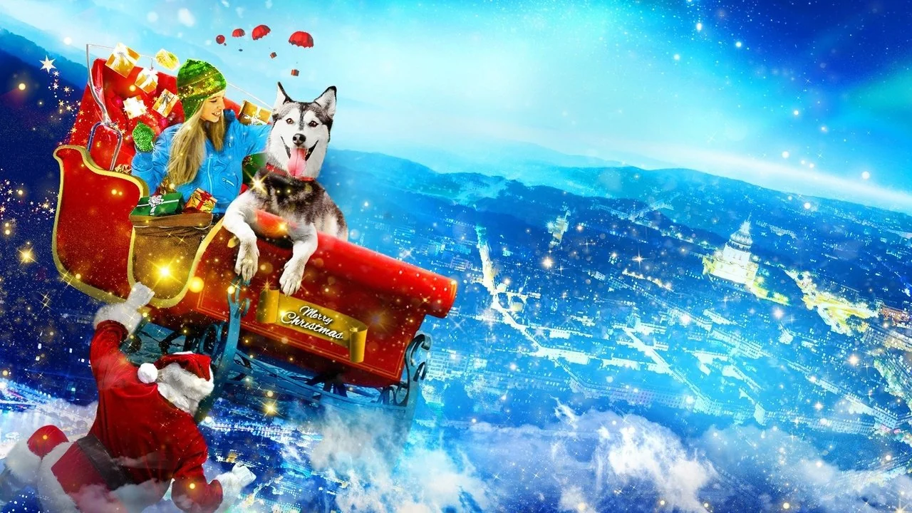 Stillbild ur A Dog for Christmas
