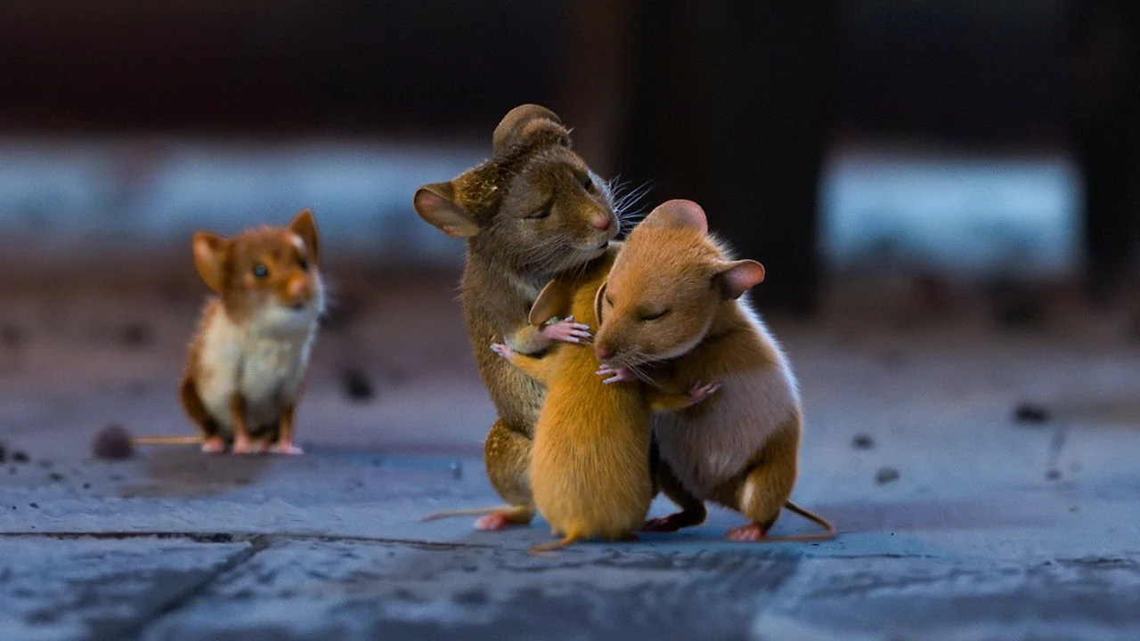 Stillbild ur A Mouse Hunt for Christmas