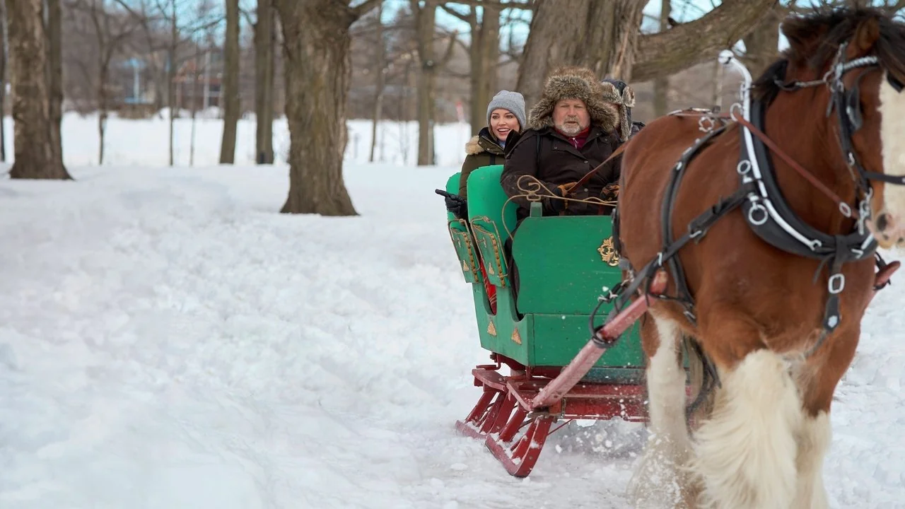 Stillbild ur A Royal Christmas Crush