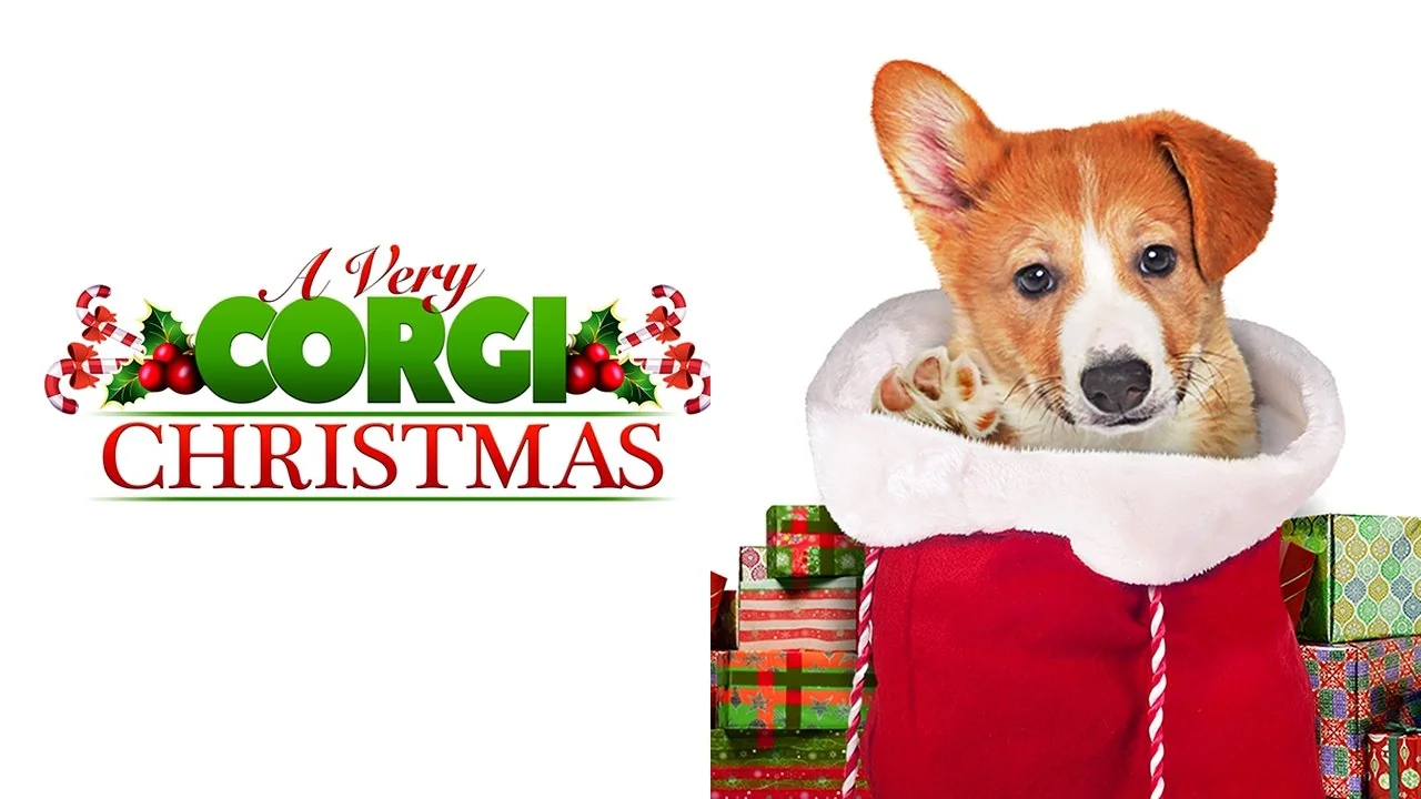 Stillbild ur A Very Corgi Christmas