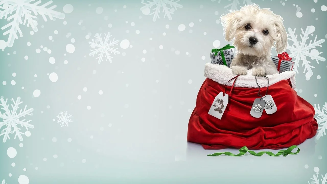 Stillbild ur Charlie's Christmas Wish