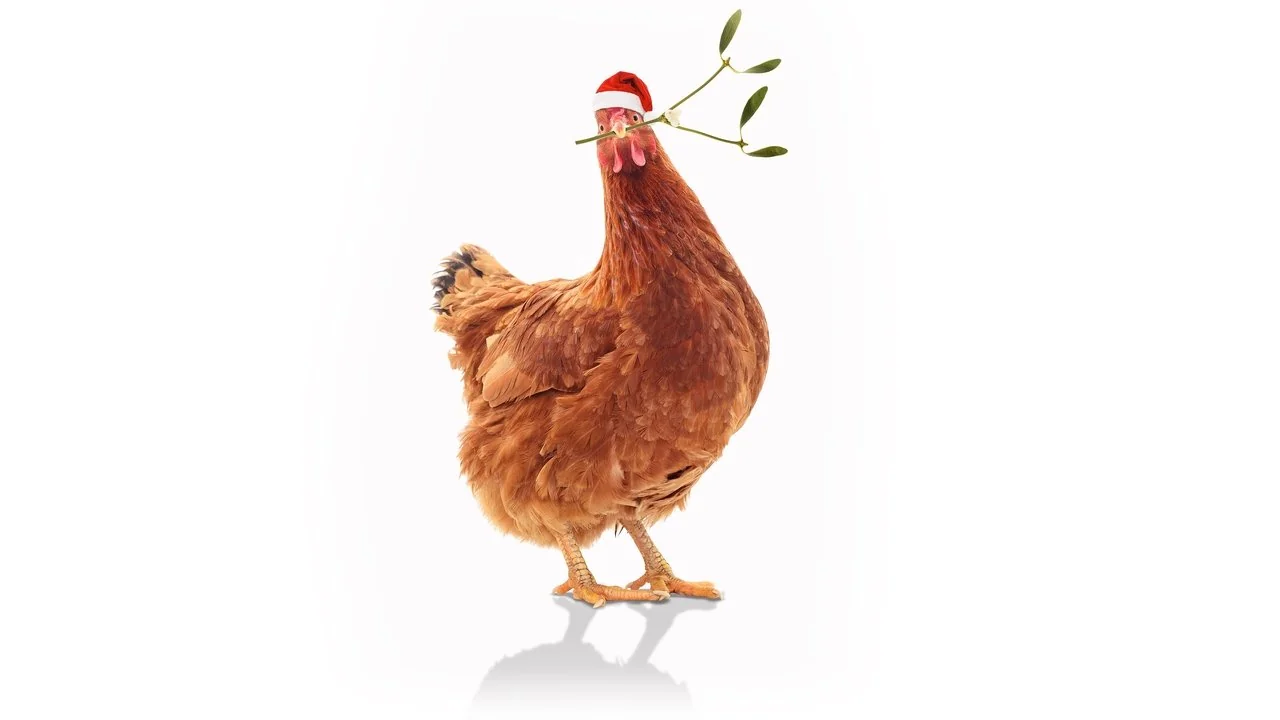 Stillbild ur Feather Christmas