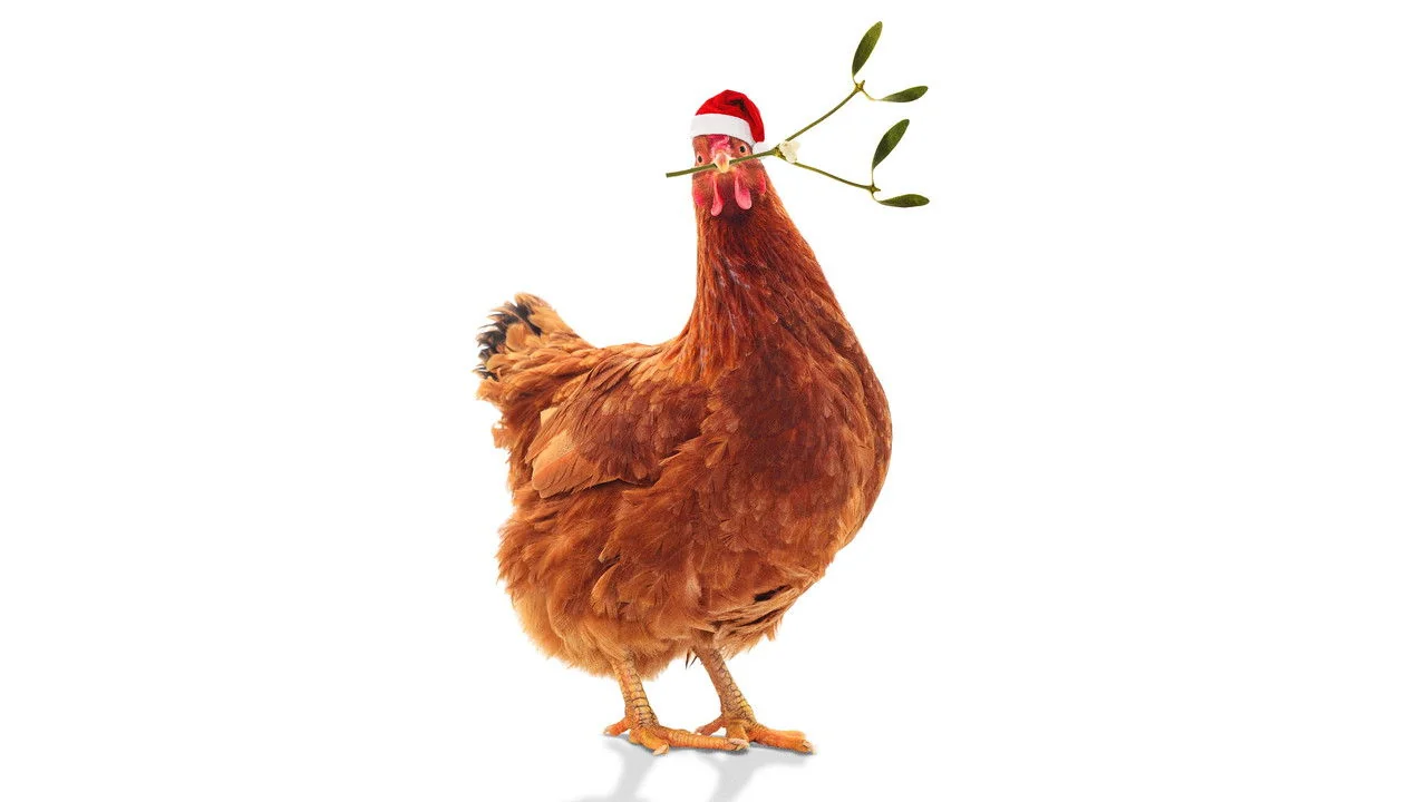 Stillbild ur Feather Christmas