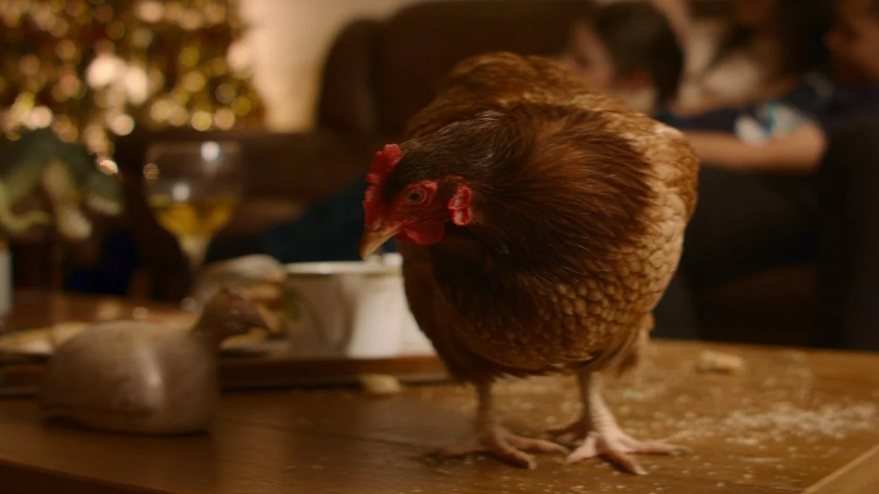 Stillbild ur Feather Christmas