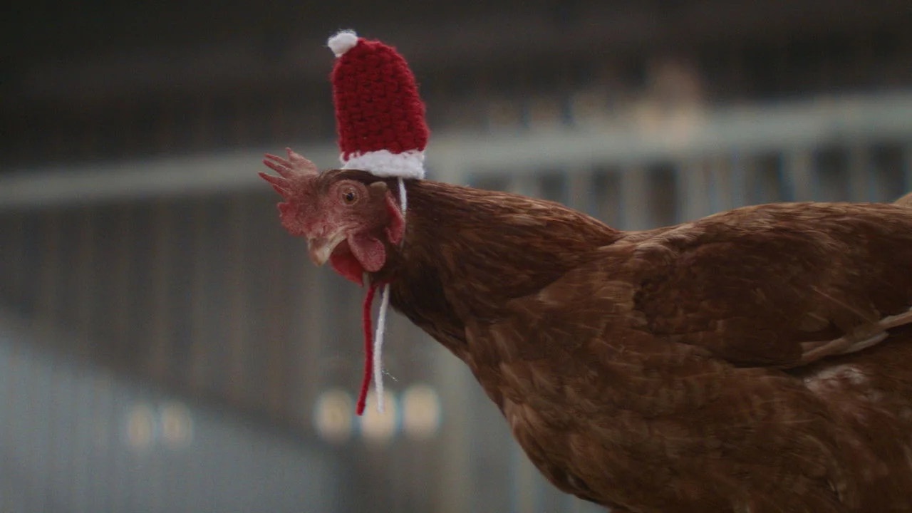 Stillbild ur Feather Christmas