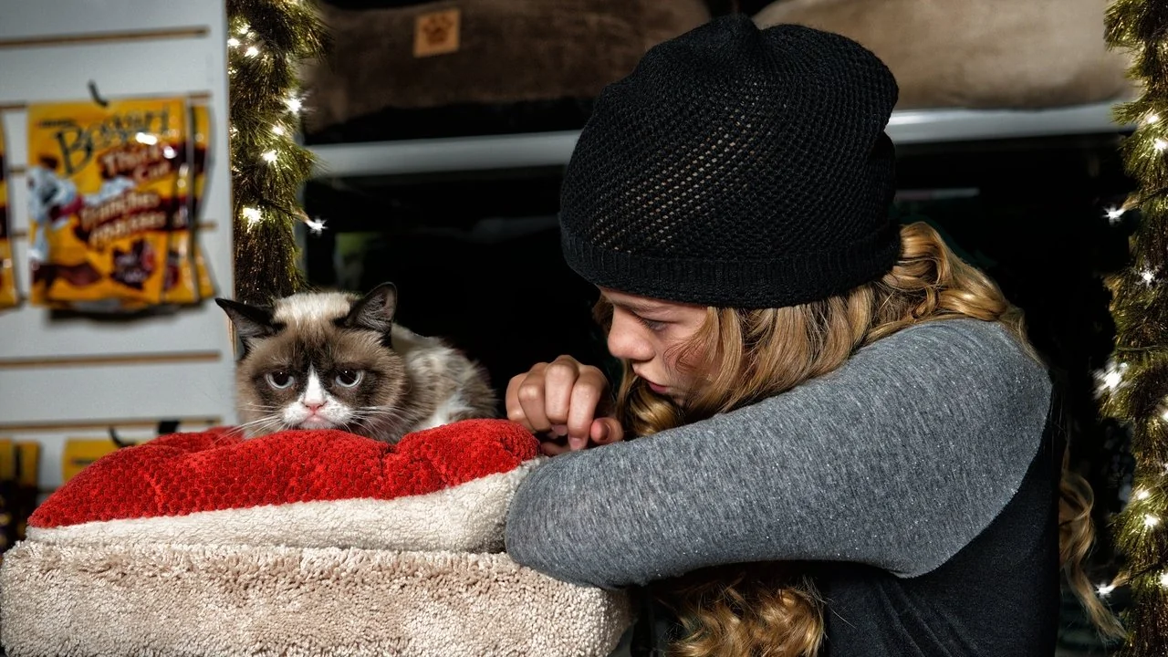 Stillbild ur Grumpy Cat's Worst Christmas Ever