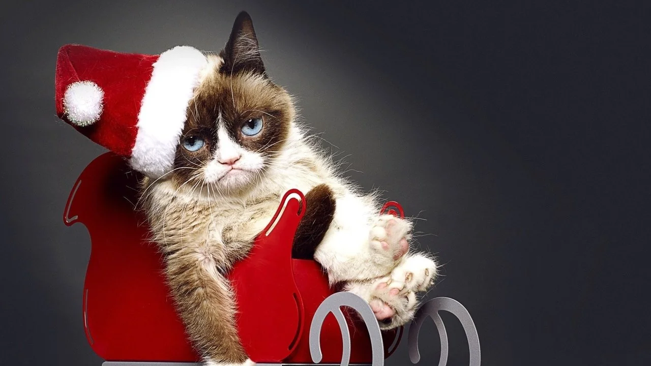Stillbild ur Grumpy Cat's Worst Christmas Ever