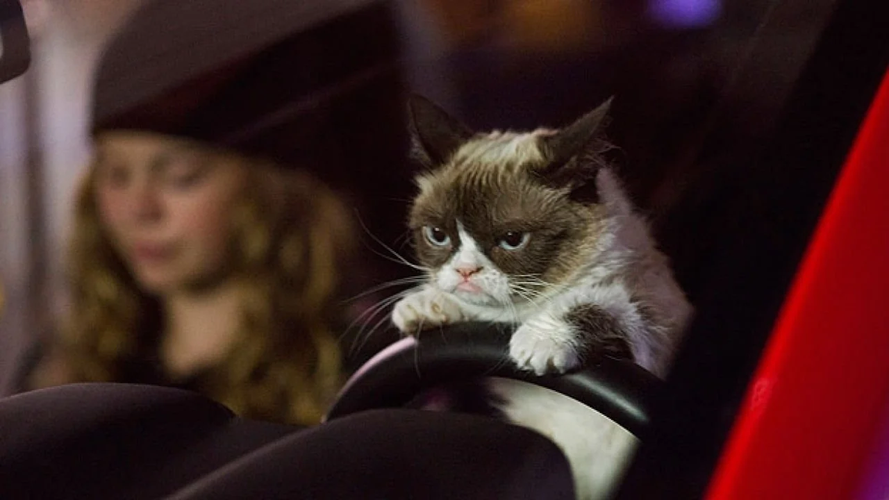 Stillbild ur Grumpy Cat's Worst Christmas Ever