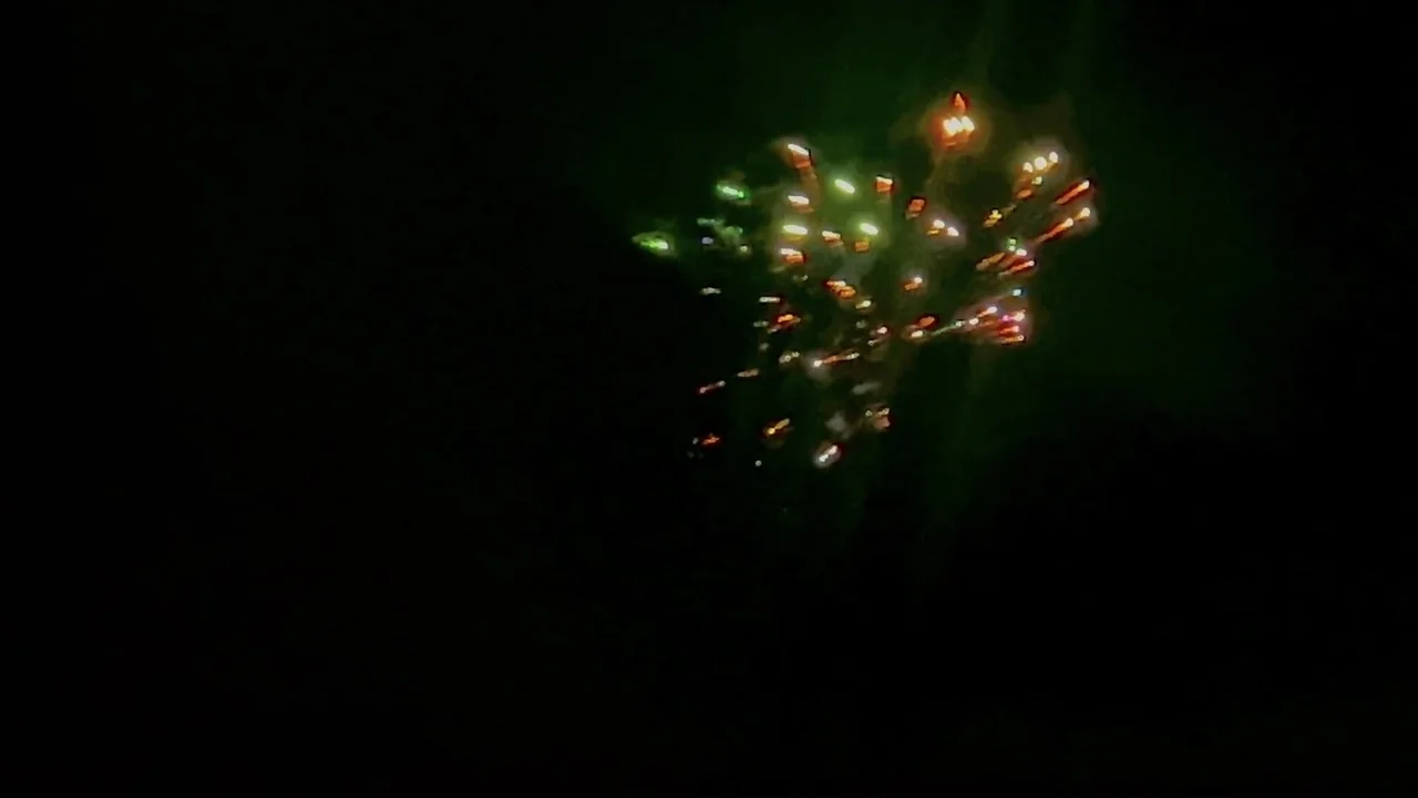 Stillbild ur July 4th, the Beautiful