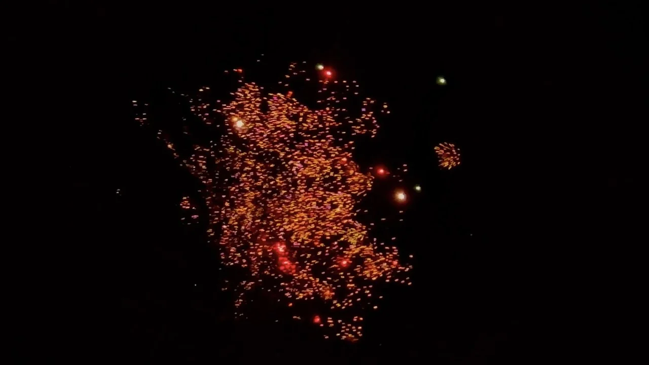 Stillbild ur July 4th, the Beautiful