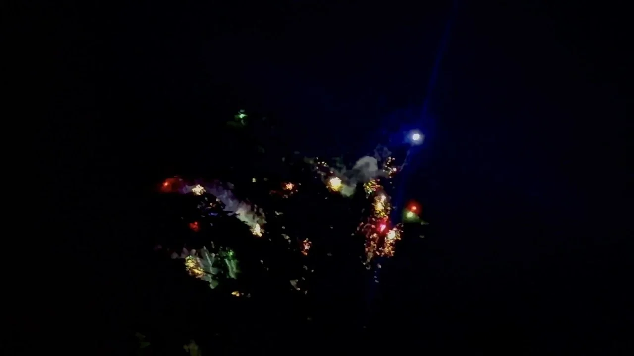 Stillbild ur July 4th, the Beautiful
