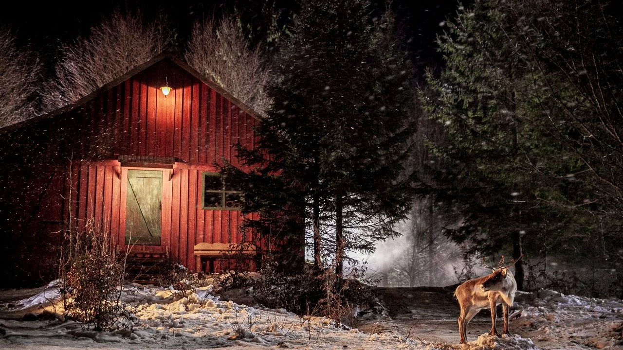 Stillbild ur Prancer: A Christmas Tale