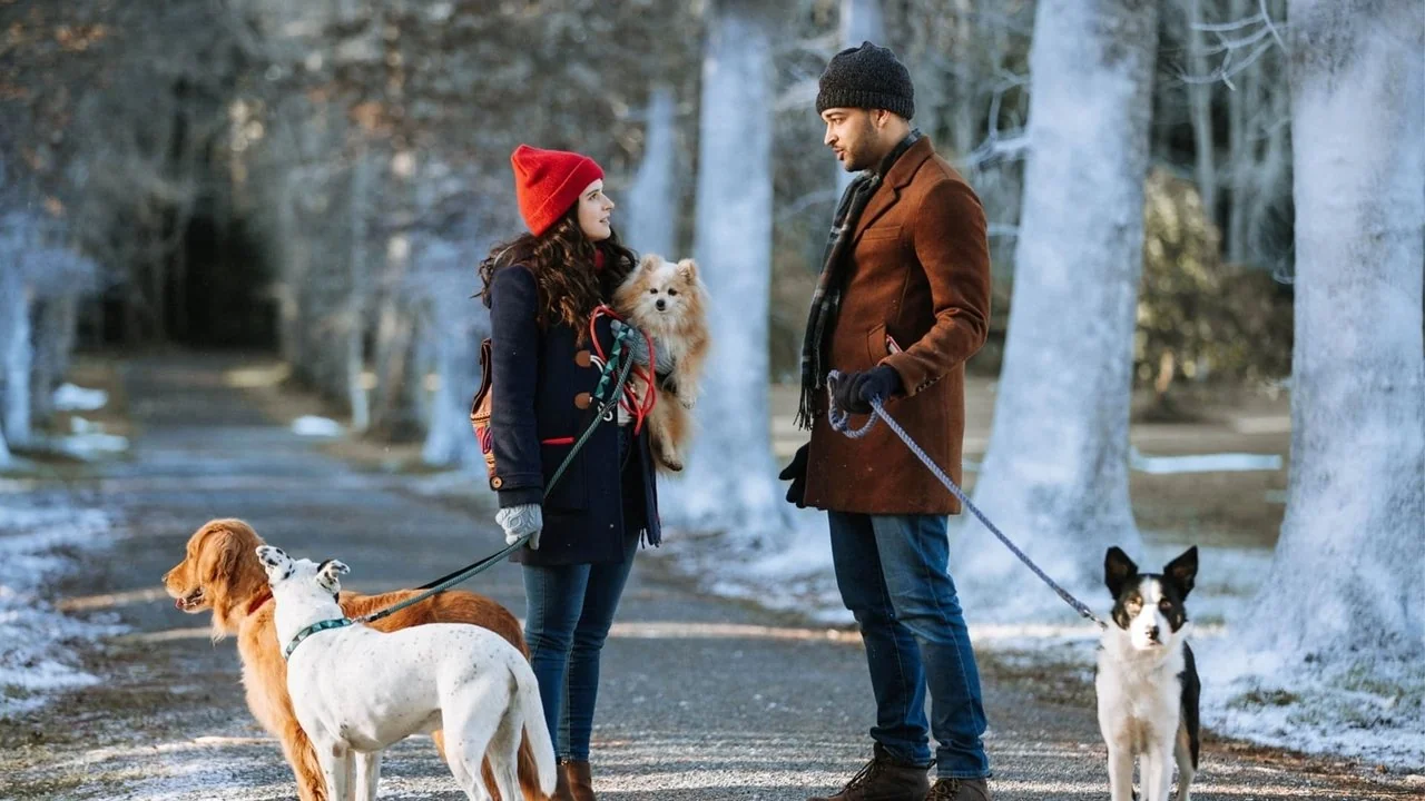 Stillbild ur Puppy Love For Christmas