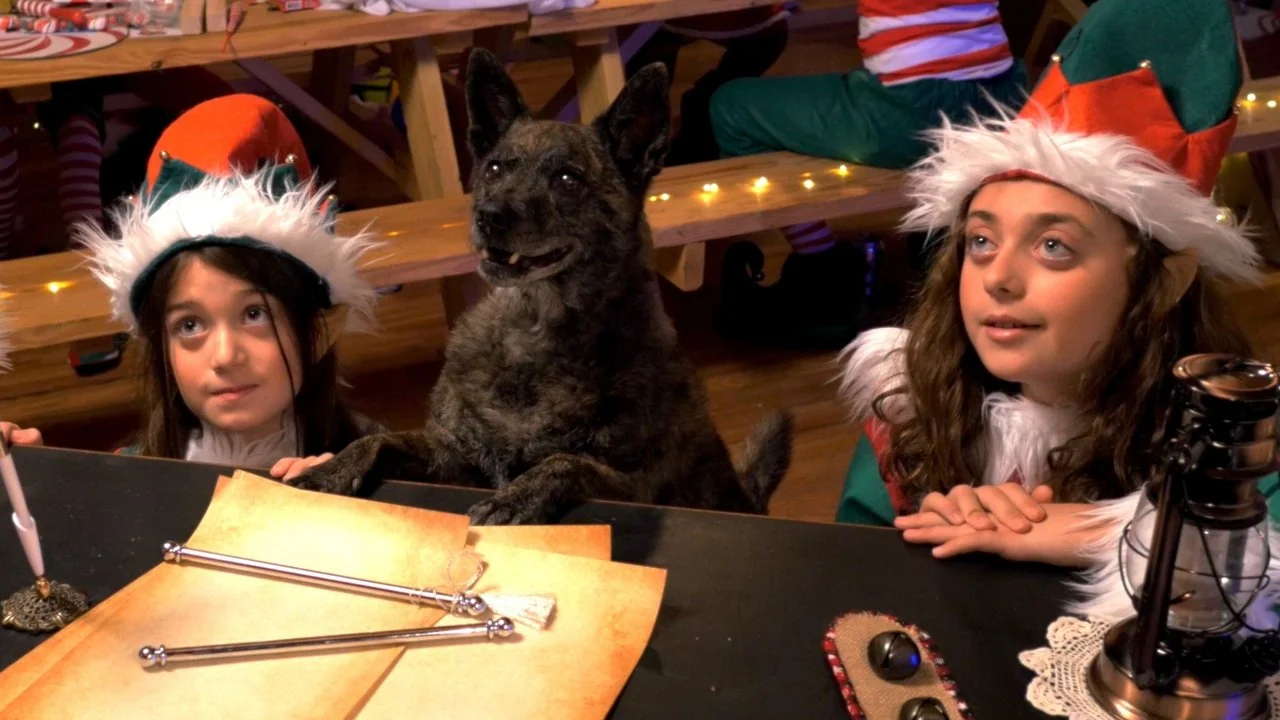 Stillbild ur Santa Stole Our Dog: A Merry Doggone Christmas!