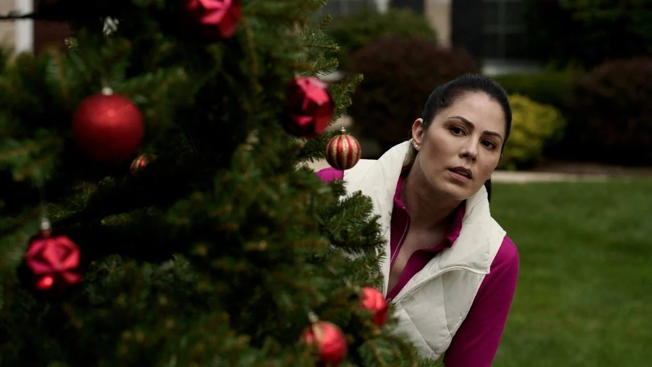Still: The Christmas Thief
